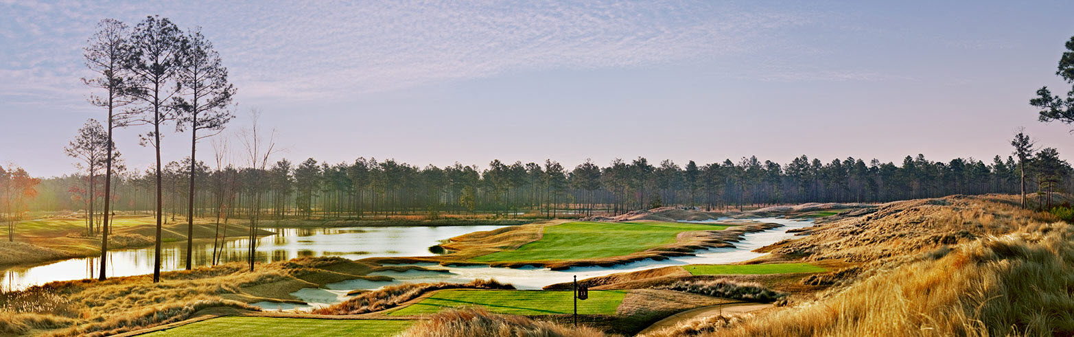 Image: Cape Fear National fairway with tall grasses and water